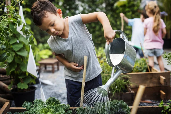 Junge wässert Gemüse — Stockfoto