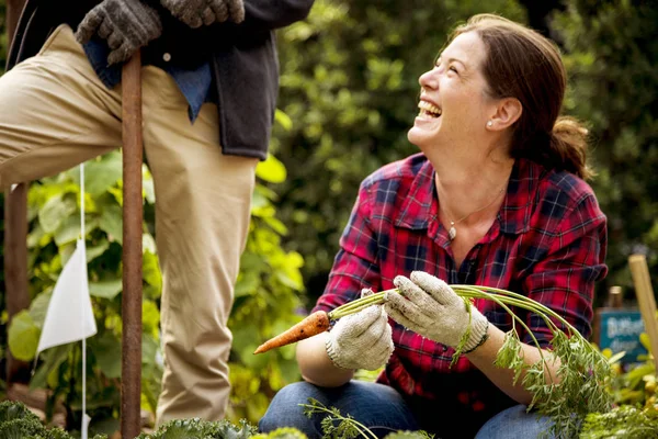 Personas plantando verduras — Foto de Stock