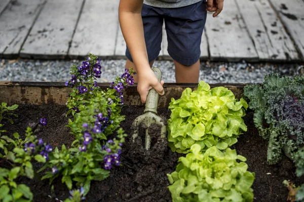 Anak laki-laki merawat kebun — Stok Foto