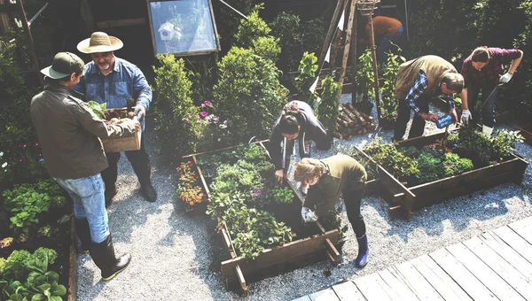 Gente jardinería en el patio trasero juntos — Foto de Stock