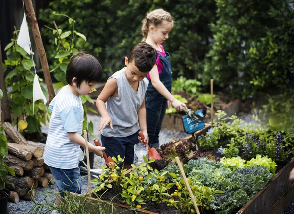 Scuola materna apprendimento giardinaggio — Foto Stock