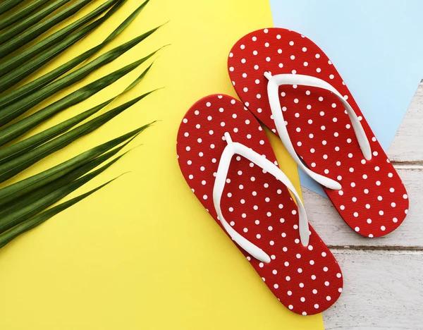 Sandalias chanclas — Foto de Stock