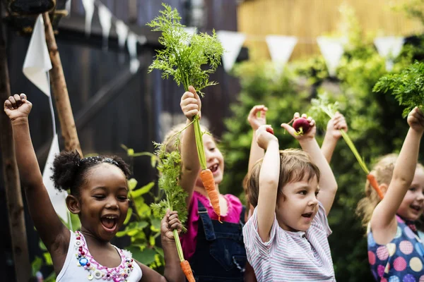 Gelukkige kinderen met vers geplukte wortelen — Stockfoto