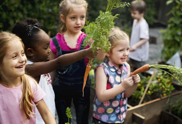 園芸を学ぶ幼稚園のグループ — ストック写真