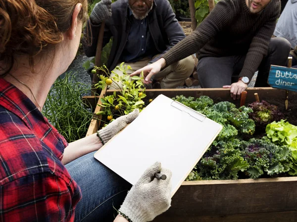 Lista de comprobación del agricultor — Foto de Stock