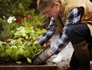 adam malzeme çekme sebze