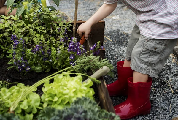 Kid boy tenderar trädgård — Stockfoto