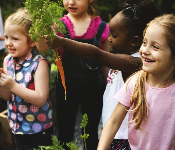 Niños con zanahoria fresca recogida — Foto de Stock