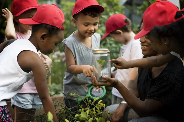 Lehrer und Kinder lernen Ökologie — Stockfoto