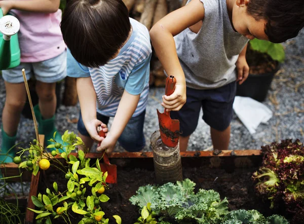 Anak-anak kecil yang merawat kebun — Stok Foto