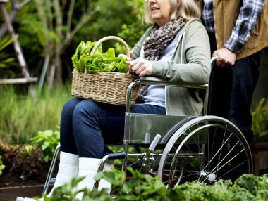 Çift malzeme çekme sebze 