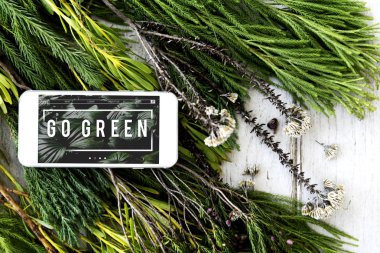 Noel ağacı yaprakları