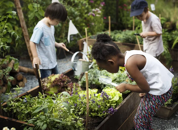 Niños cuidando el jardín — Foto de Stock