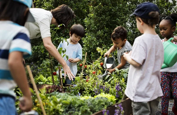 Teacher and kids learning ecology — Stock Photo, Image