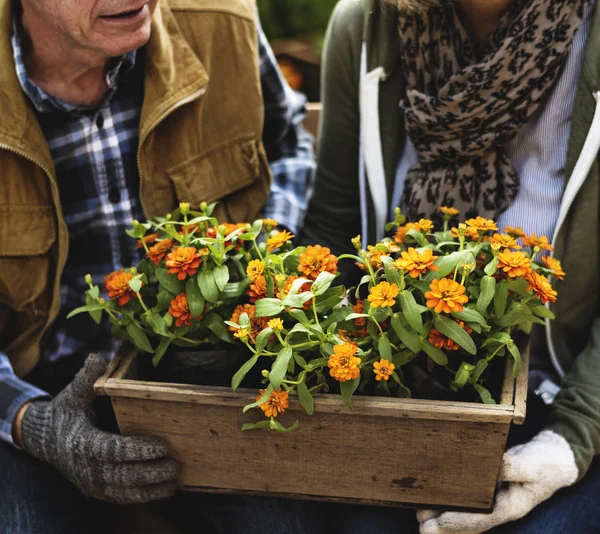 Casal segurando vaso de flores — Fotografia de Stock