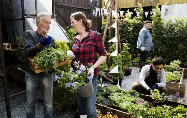 Personas plantando verduras — Foto de Stock