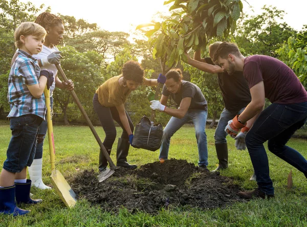 La gente planta un árbol —  Fotos de Stock