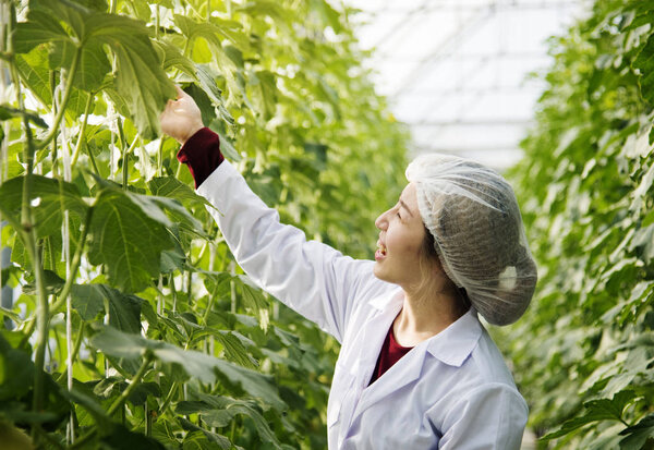 Woman looking at plants