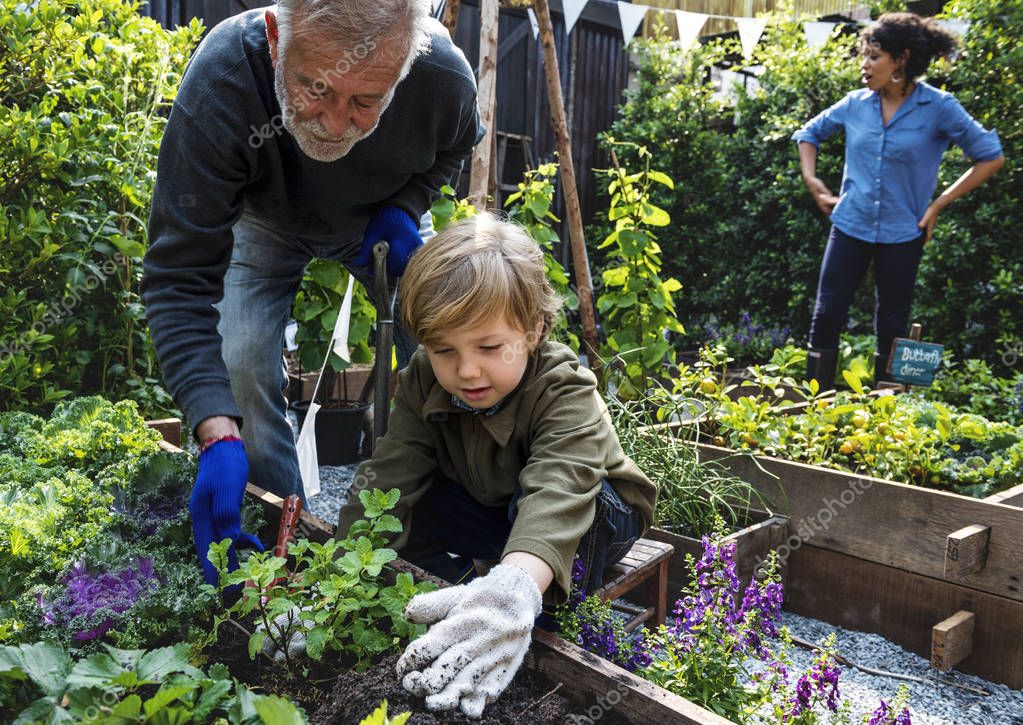 Familie Pflanzen Gemüse vom Garten — Stockfoto © Rawpixel ...