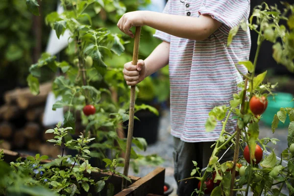 Kid i en trädgård, en erfarenhet och en idé — Stockfoto