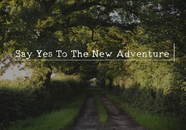 güneşli bir gün için odun giden yol