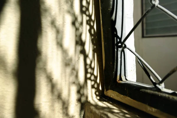 Luz soleada en ventana de hierro de la mañana — Foto de Stock