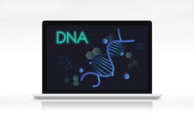 Web tasarım şablonu dizüstü