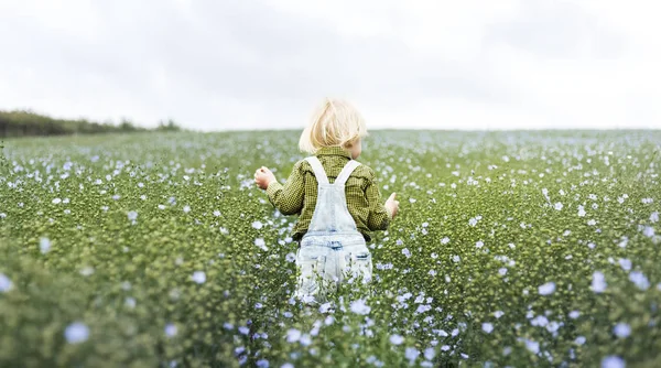 Petit blond enfant marche dans le champ — Photo