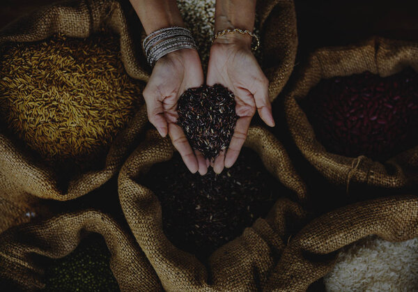 Hands holding seeds and grains