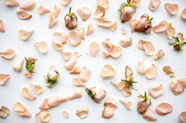 güzel çiçek dekorasyonu