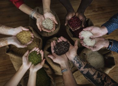 Tohum ve hububat holding eller