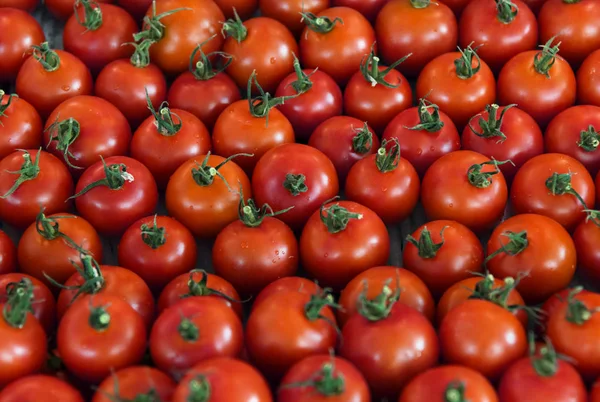 Fresh Red Tomatoes Vegetable Harvest Farm Original Photoset — Stock Photo, Image