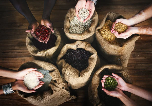 Handen met zaden en granen — Stockfoto
