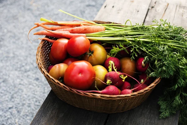 Frisch gepflücktes Gemüse — Stockfoto