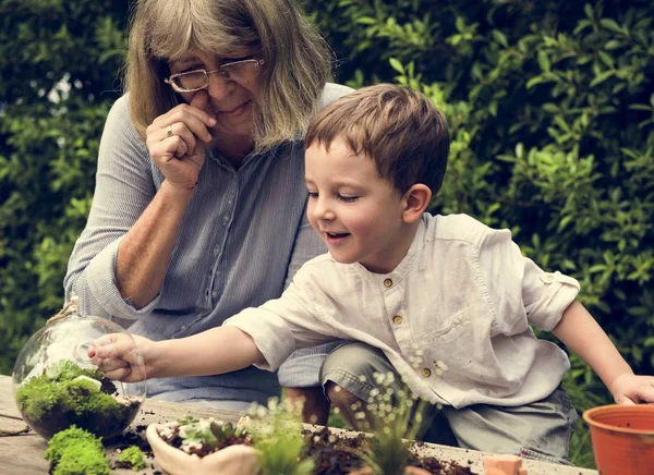 Babcia i wnuk sadzenia w ogrodzie — Zdjęcie stockowe