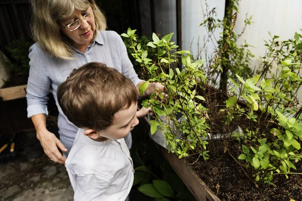 Abuela y nieto regar plantas — Foto de Stock