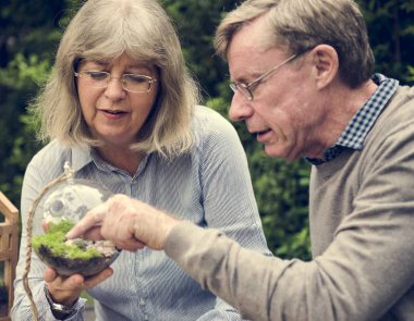 üst düzey çift dikim succulents. 