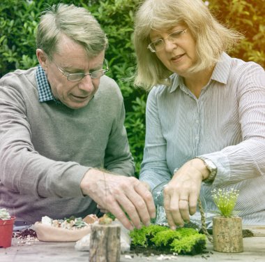 üst düzey çift dikim succulents. 