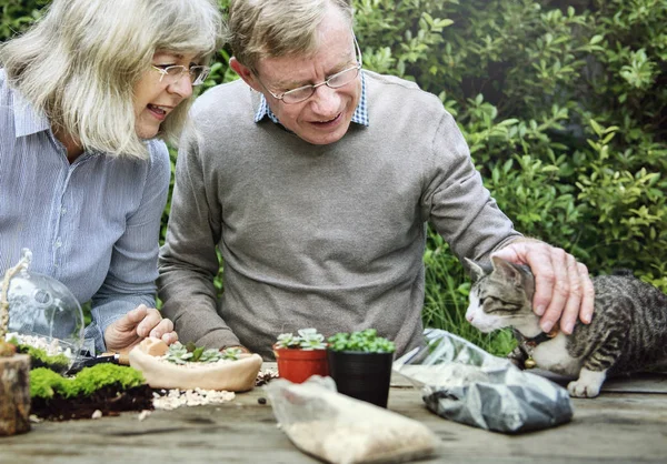 Senior paar aanplant vetplanten. — Stockfoto