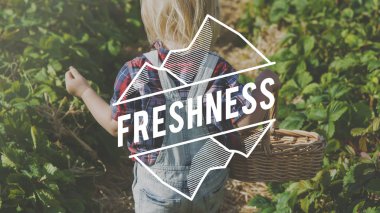 küçük sarışın çocuk alanına yürüyor