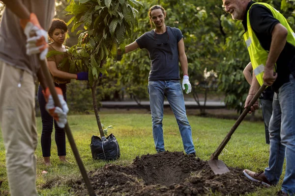 La gente planta un árbol —  Fotos de Stock