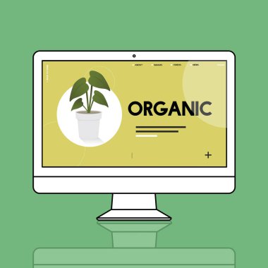 grafik bilgisayar monitörü