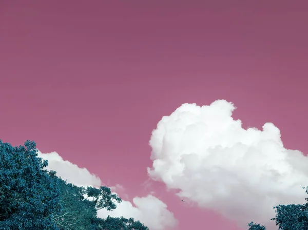 Hemel met wolken en bomen — Stockfoto