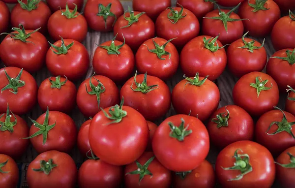 Fresh Red Tomatoes Vegetable Harvest Farm Original Photoset — Stock Photo, Image