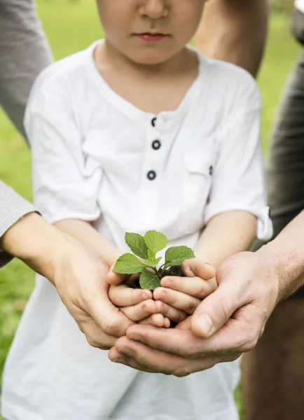 Jardinería familiar — Foto de Stock