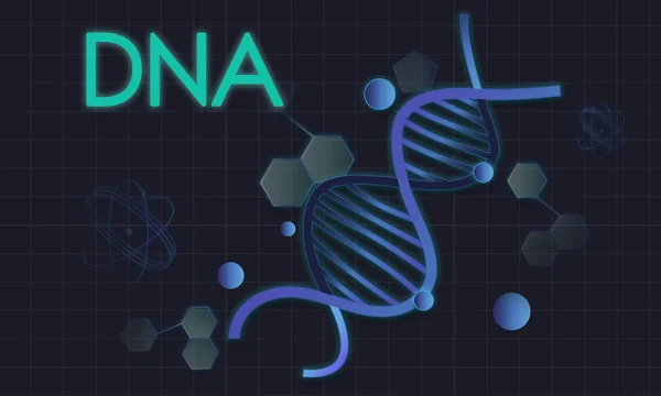 Modèle avec concept ADN — Photo