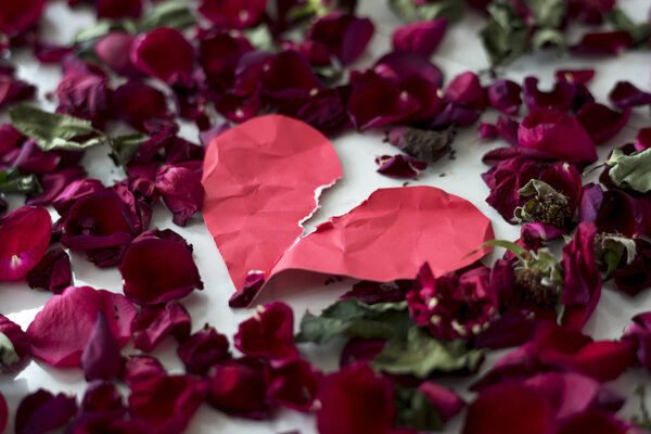 Broken Heart and roses — Stock Photo, Image