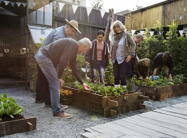 Gente jardinería en el patio trasero juntos — Foto de Stock