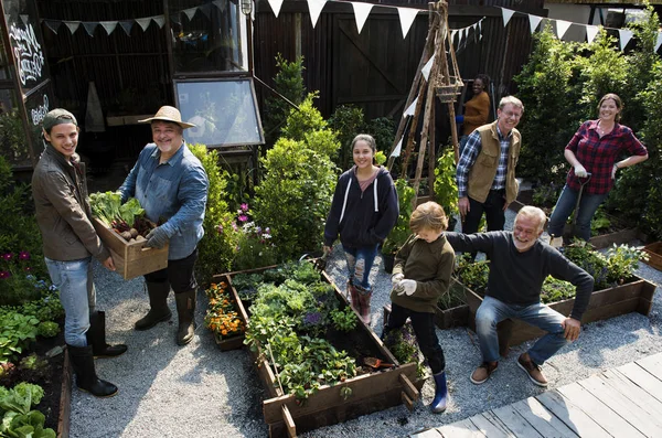 Personas plantando verduras — Foto de Stock