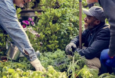  insanlar üzerinde arka bahçe 